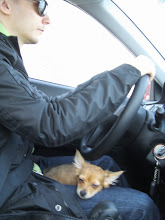 Отмена техосмотра