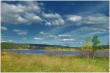 Земельный участок