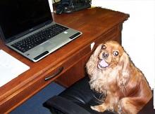 Испытательный срок